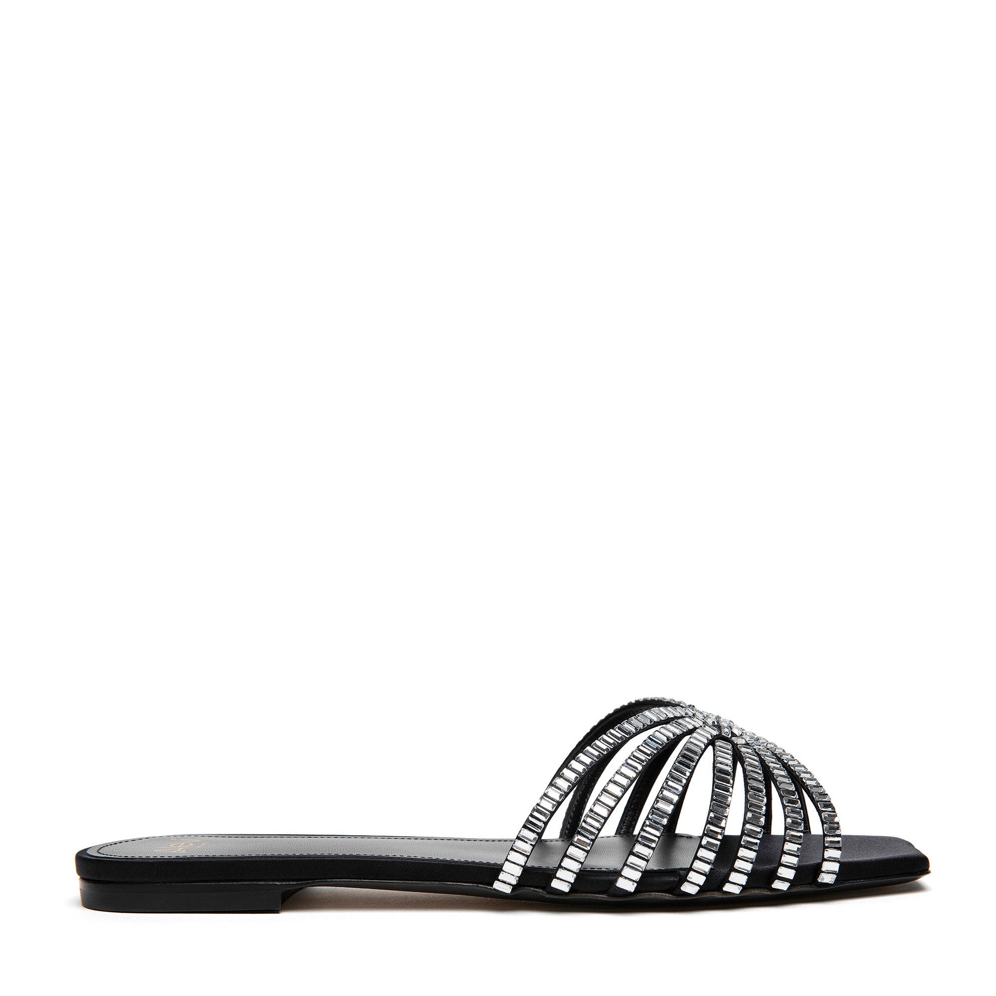 Sole