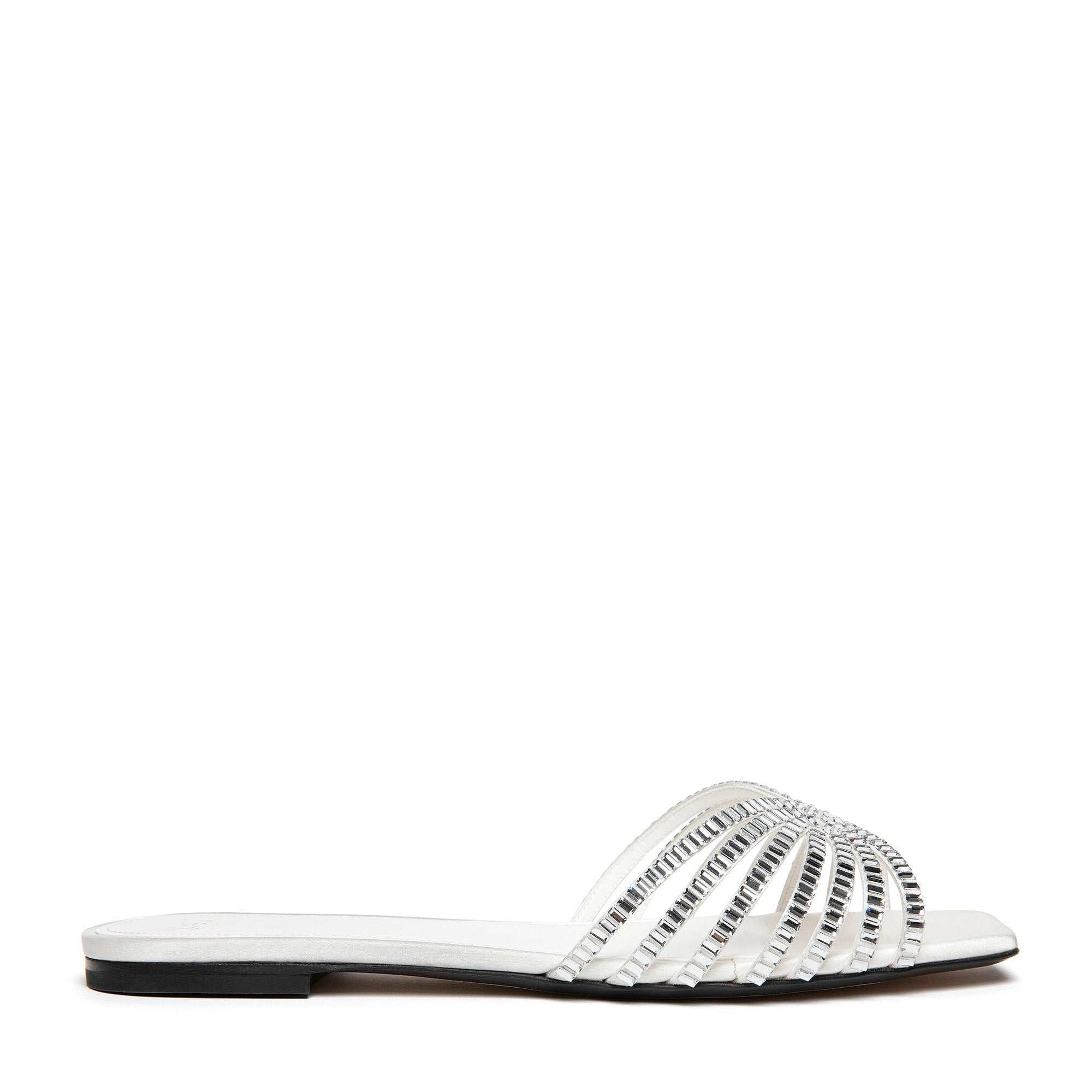 Sole